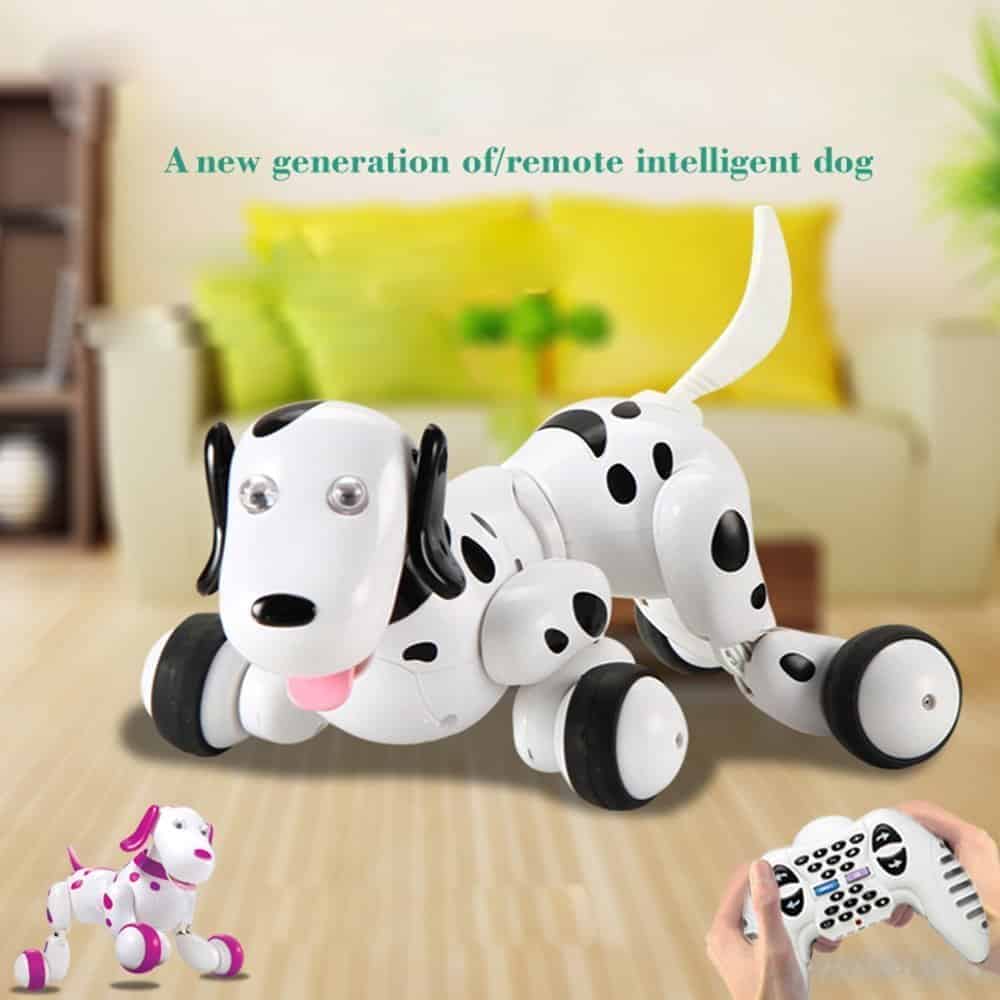 remote dog toy